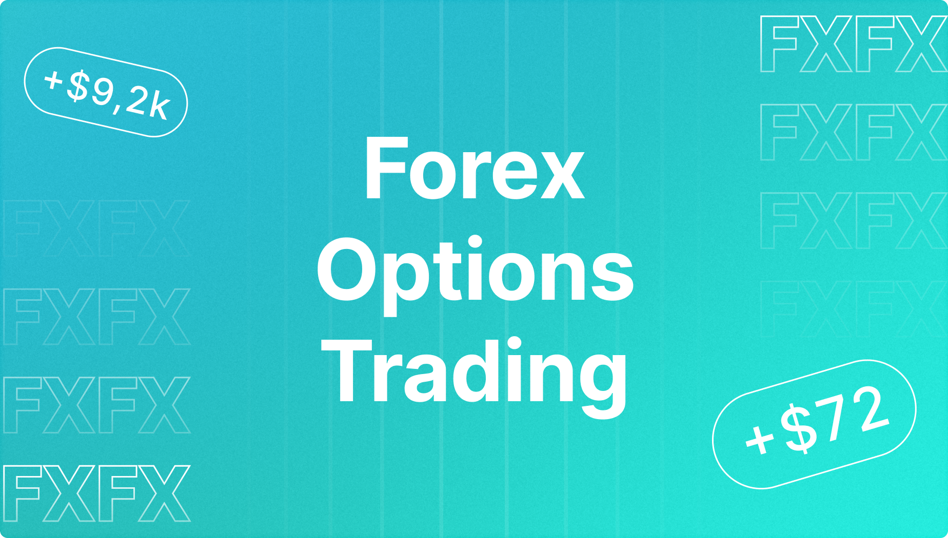 FXオプション取引の完全ガイド